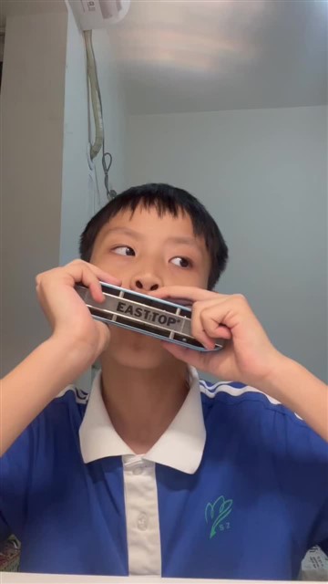 16.小毛驴