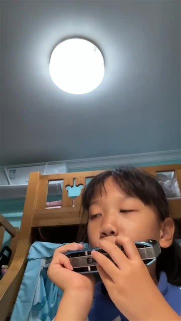 46.雪绒花