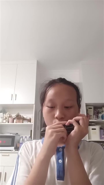 20.鲤鱼风筝
