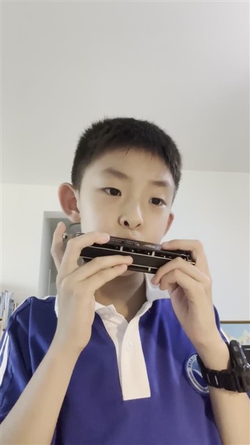 16.小毛驴