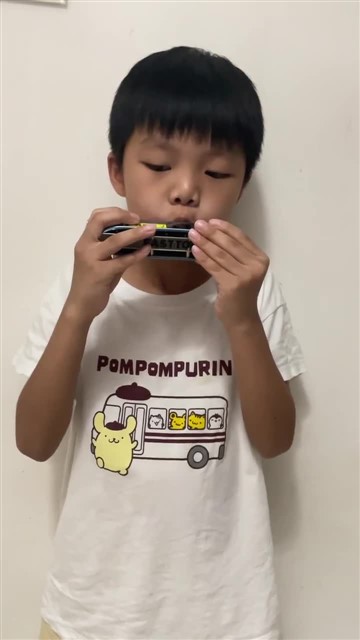 5.玛丽有只小羊羔