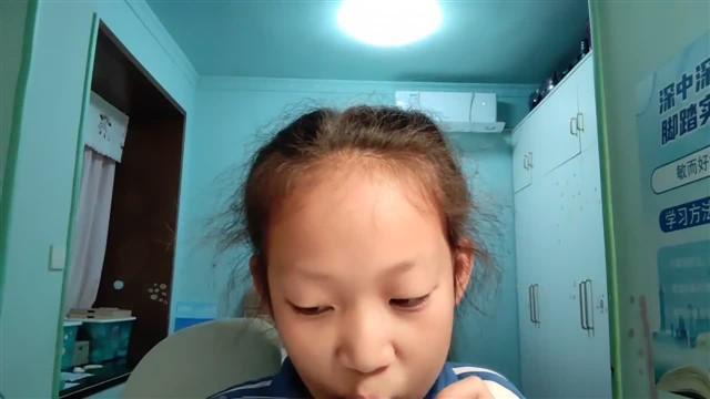 小毛驴