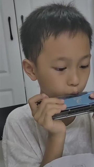小毛驴