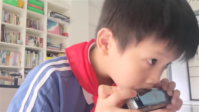 21.国旗国旗真美丽 