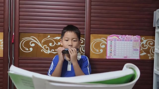 5.玛丽有只小羊羔