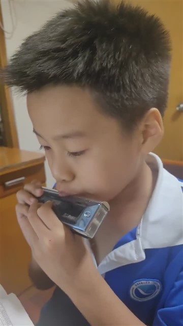 20.鲤鱼风筝
