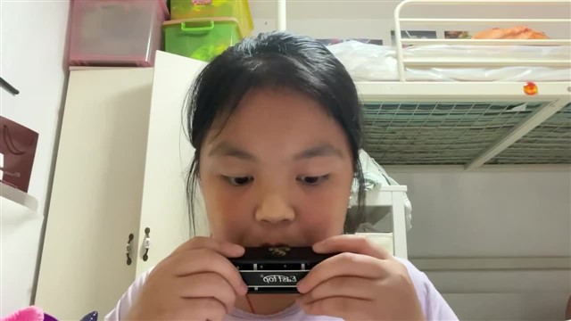16.小毛驴