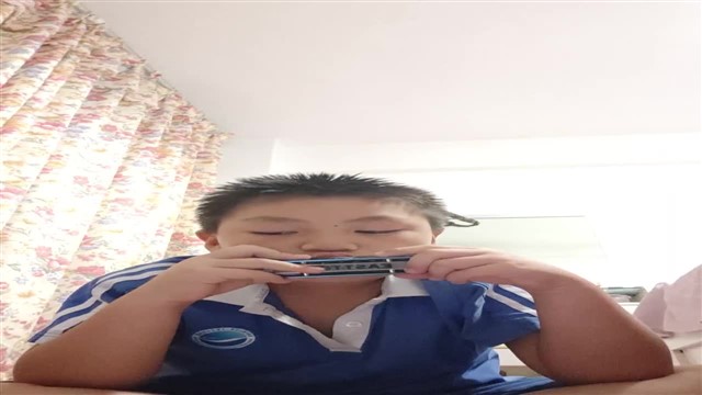 小毛驴