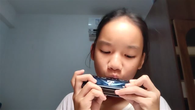 小酸梅果