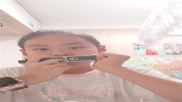 16.小毛驴