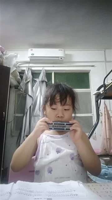 小毛驴 (2)