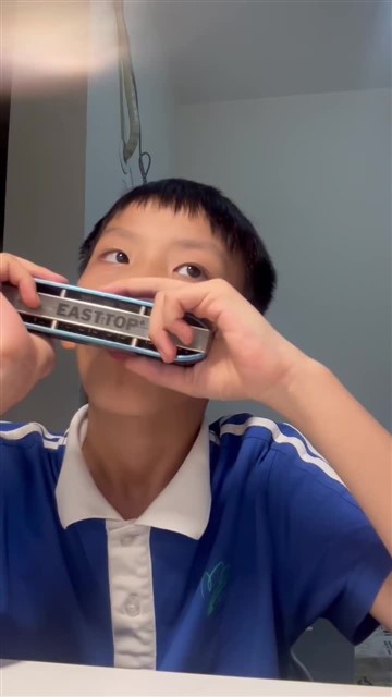 64.爱尔兰画眉