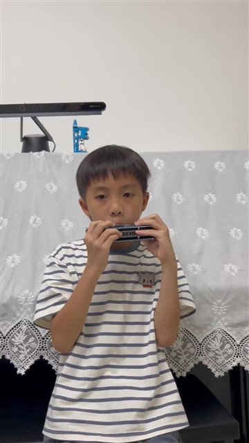 爱尔兰画眉