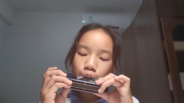 美丽的草原我的家