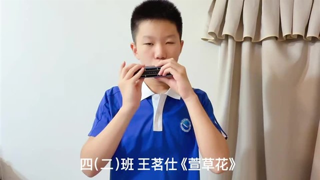 萱草花