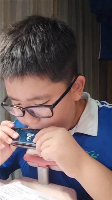 小毛驴