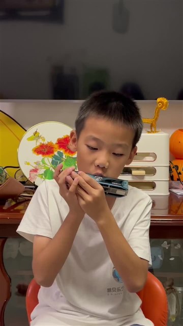 16小毛驴