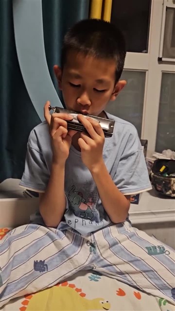 16小毛驴
