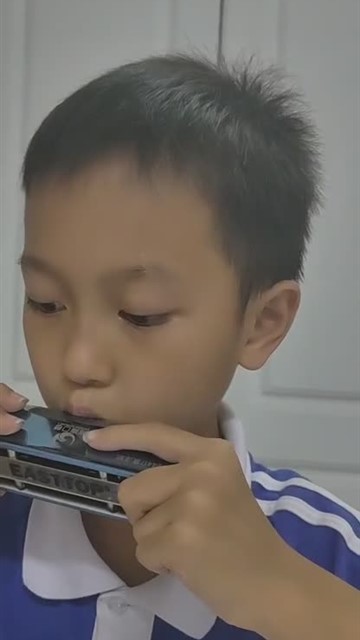 闪烁的小星