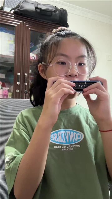 20鲤鱼风筝