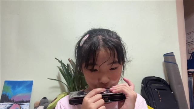 鲤鱼风筝