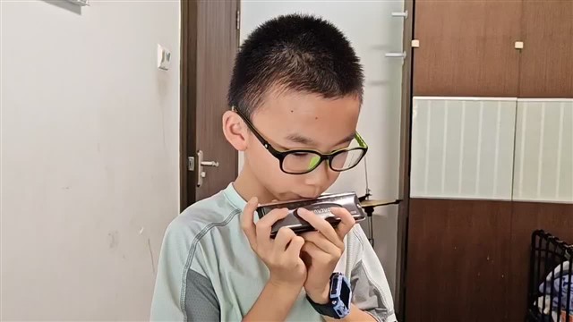 20.鲤鱼风筝