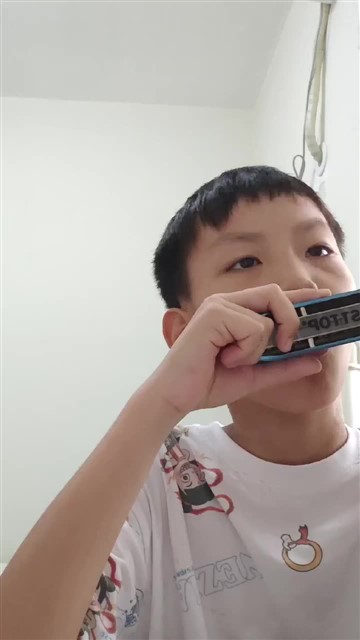 5.玛丽有只小羊羔