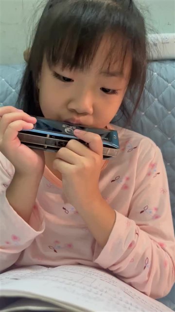 赛船
