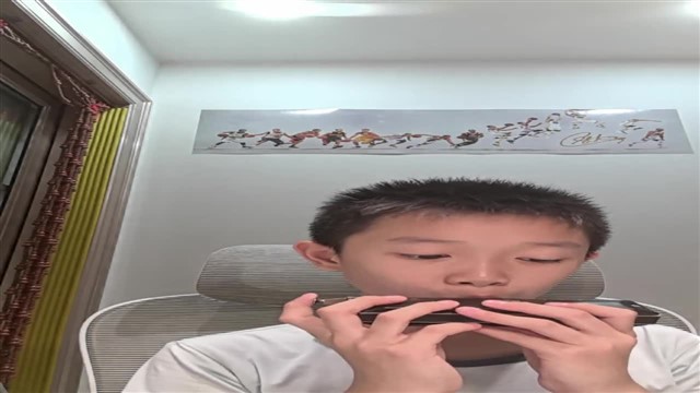 16.小毛驴