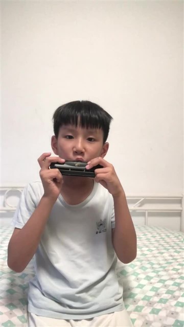 164.匈牙利舞曲第五号