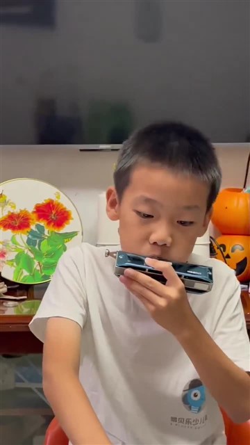 64爱尔兰画眉