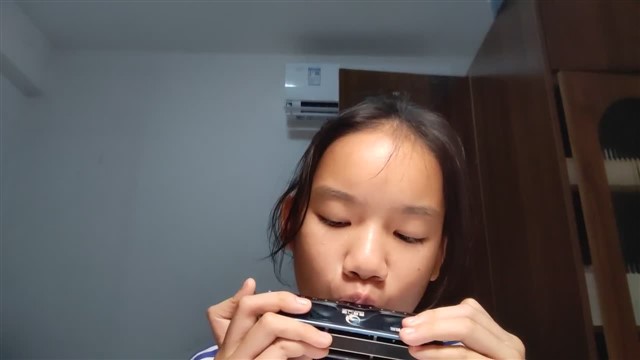 c大调半音阶练习