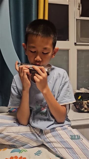 20.鲤鱼风筝