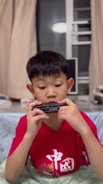 064.爱尔兰画眉