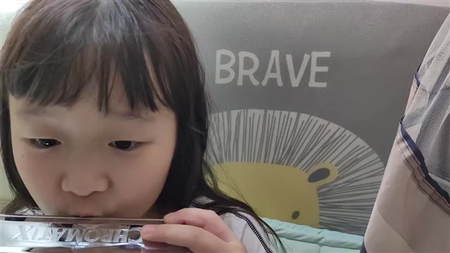 雁群飞