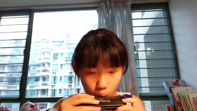 16.小毛驴