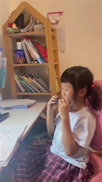 16.小毛驴