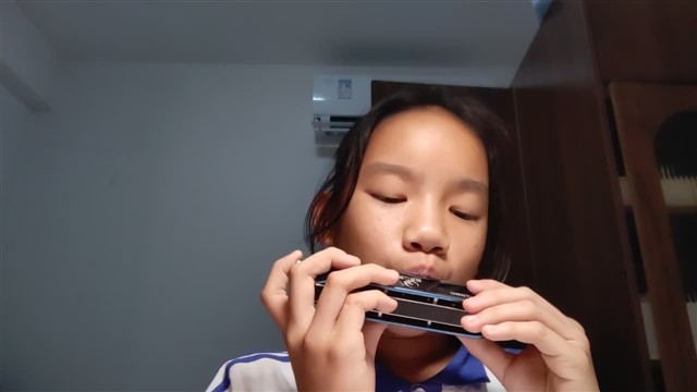 水调歌头·但愿人长久