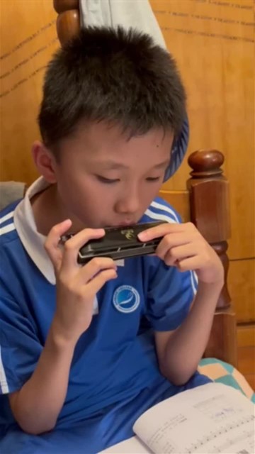 5、玛丽有只小羔羊