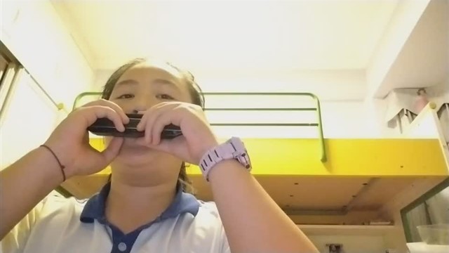 小毛驴