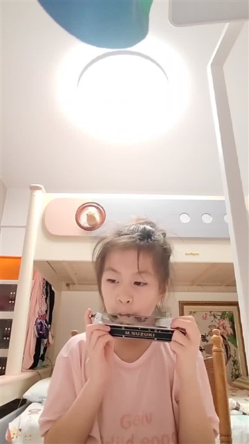雪绒花