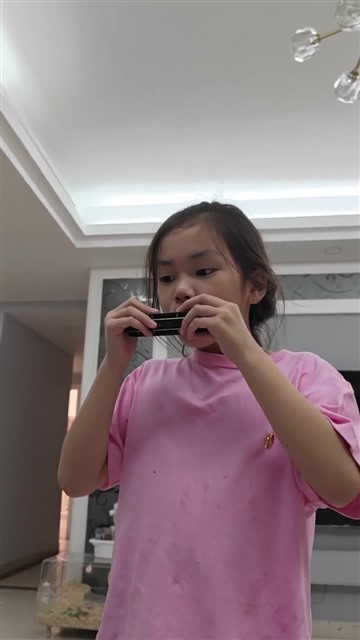 5.玛丽有只小羊羔