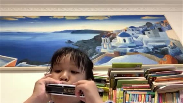 46.雪绒花