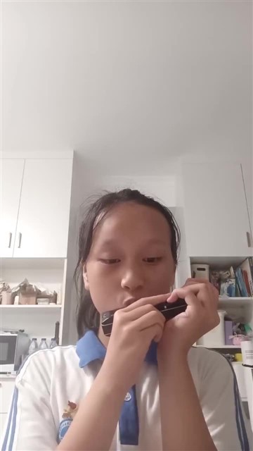 149.绿袖子