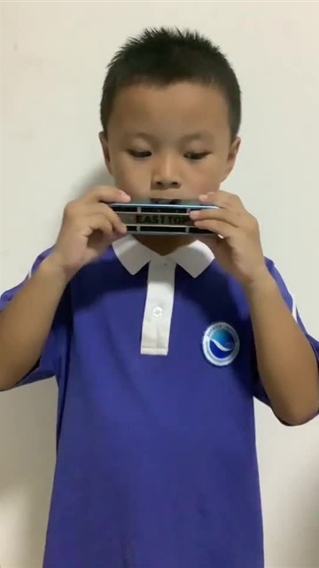 5.玛丽有只小羊羔