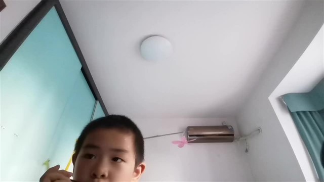 46.雪绒花