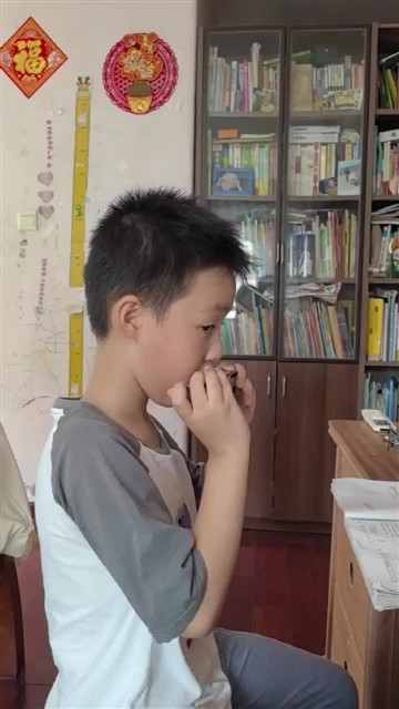 赛船