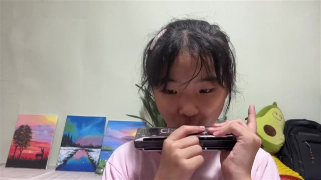 雁群飞