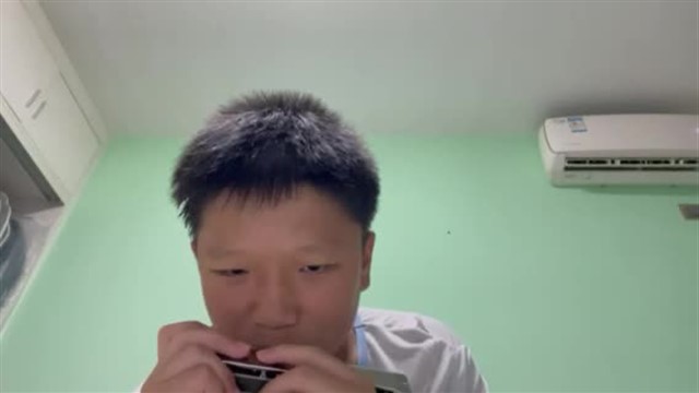 151.海顿小夜曲