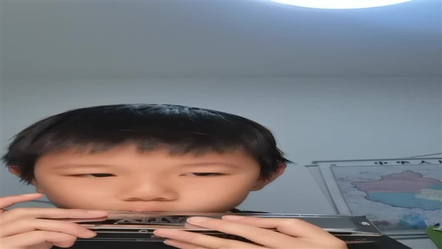 67红蜻蜓